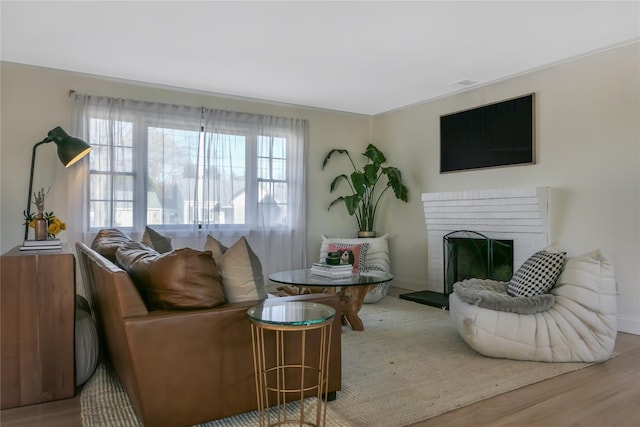 living room featuring wood-type flooring and a fireplace