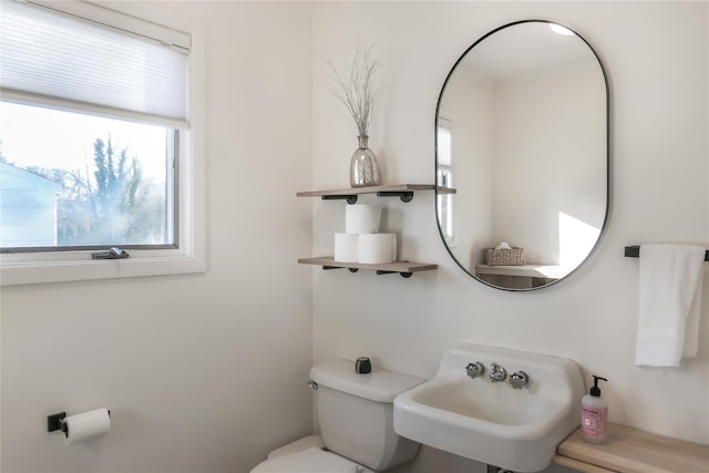 bathroom featuring sink and toilet