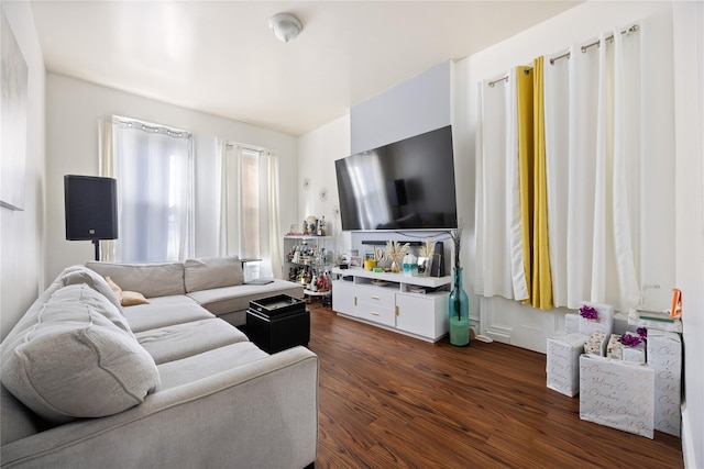 living room featuring dark wood-type flooring