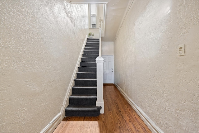 stairs featuring hardwood / wood-style flooring