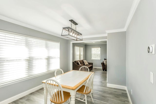 dining space featuring hardwood / wood-style floors and ornamental molding