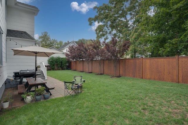 view of yard with a patio and a fenced backyard