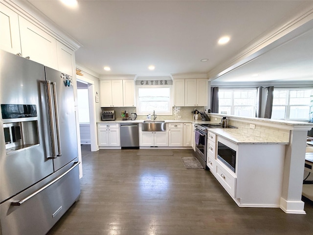 kitchen with white cabinetry, light stone countertops, sink, and premium appliances