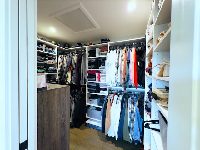 spacious closet featuring hardwood / wood-style floors