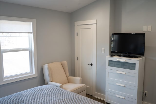 bedroom featuring a closet and multiple windows