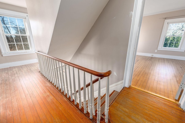 stairs featuring hardwood / wood-style flooring and ornamental molding