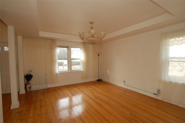 empty room with wood-type flooring, a raised ceiling, and a wealth of natural light