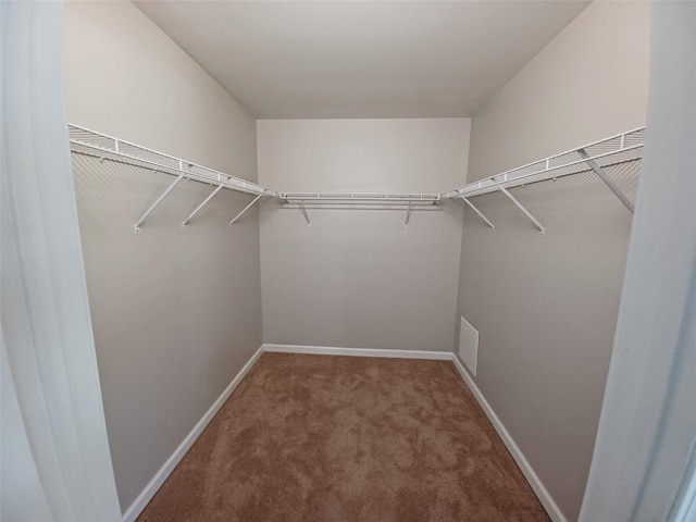 walk in closet featuring carpet flooring