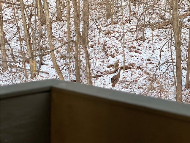 view of snow covered back of property