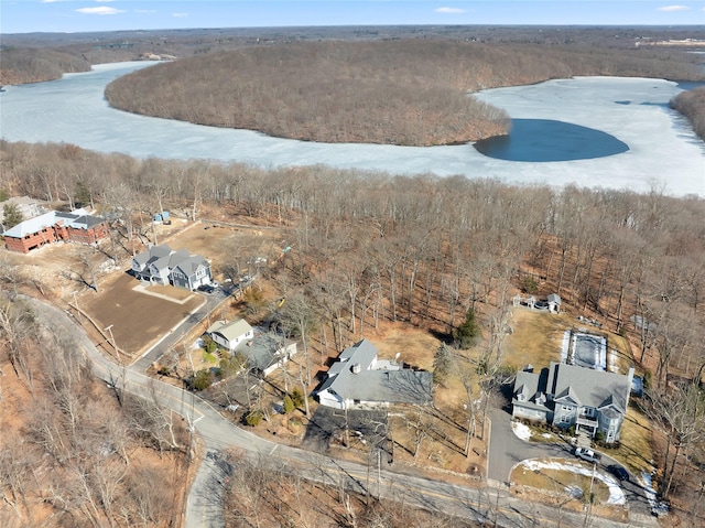 birds eye view of property with a water view and a view of trees