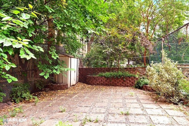 view of patio / terrace featuring a shed