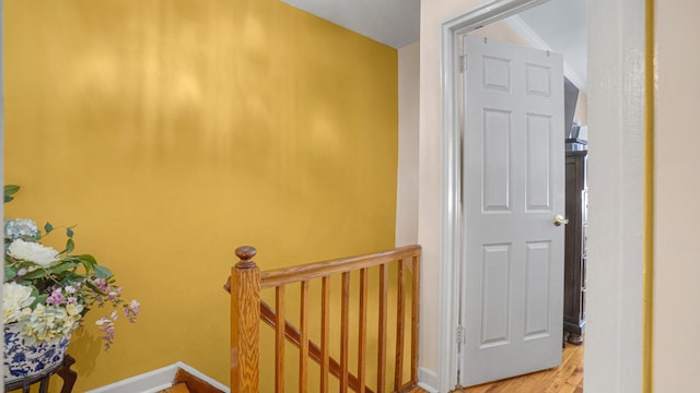 hallway featuring hardwood / wood-style floors