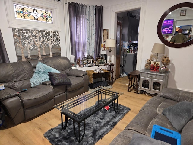 living room featuring wood-type flooring