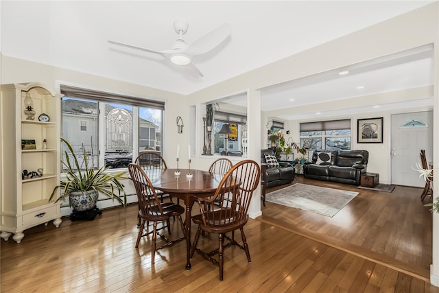 dining area with ceiling fan and dark hardwood / wood-style floors