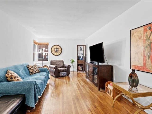 living room featuring light hardwood / wood-style flooring