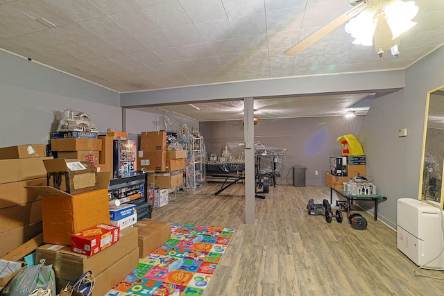 storage featuring ceiling fan
