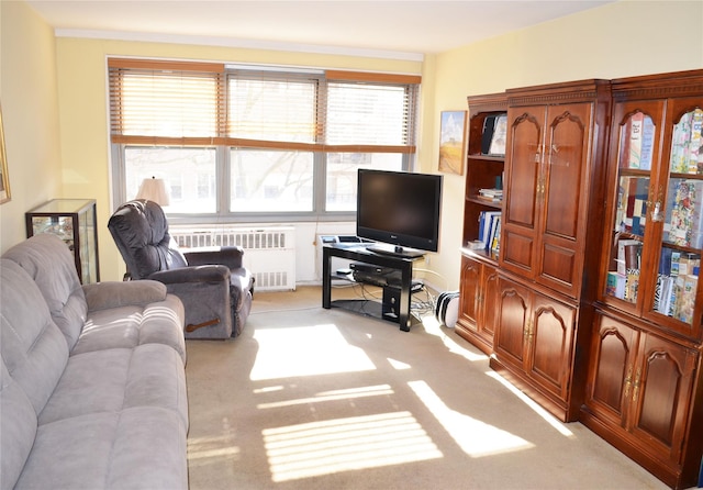 carpeted living room with plenty of natural light and radiator heating unit