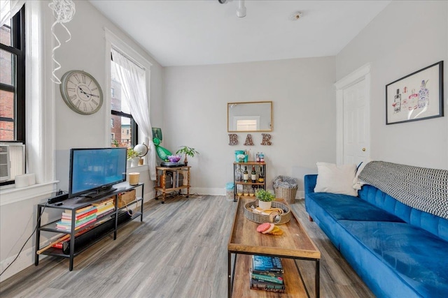 living room featuring hardwood / wood-style flooring