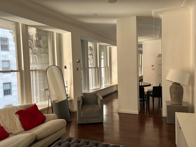 living room featuring a healthy amount of sunlight and dark wood-type flooring