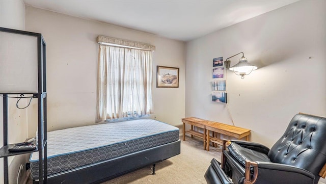 bedroom with carpet flooring