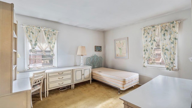 bedroom with light carpet and multiple windows