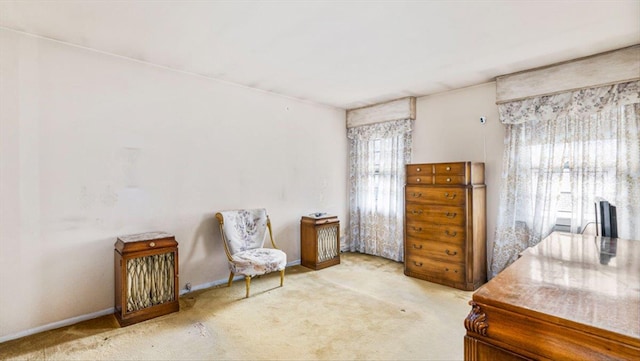 living area with carpet floors