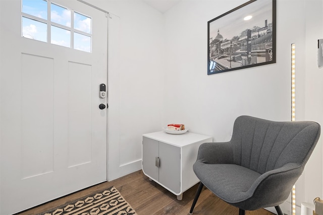 entrance foyer featuring dark wood-type flooring