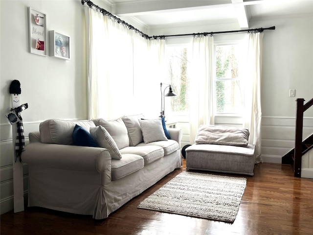 living room featuring crown molding, dark wood-type flooring, and beamed ceiling