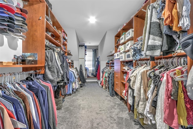 walk in closet featuring carpet flooring