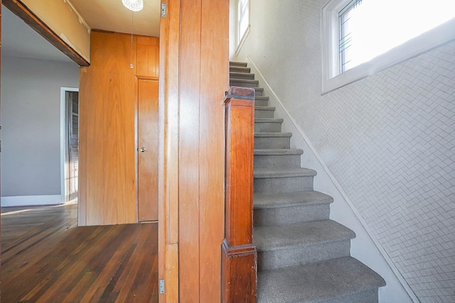 staircase featuring hardwood / wood-style flooring