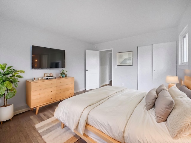 bedroom featuring dark hardwood / wood-style flooring