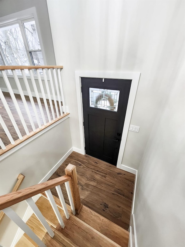 entryway with wood-type flooring