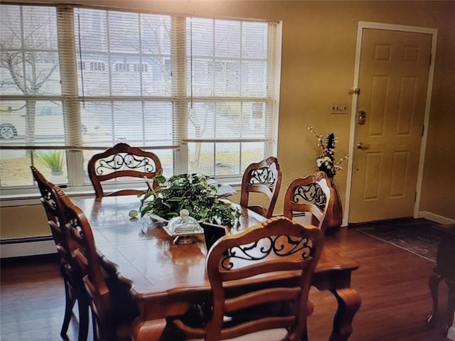 dining room with dark hardwood / wood-style flooring, a baseboard heating unit, and a healthy amount of sunlight