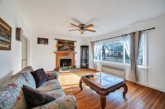 living room featuring hardwood / wood-style floors, radiator heating unit, and ceiling fan