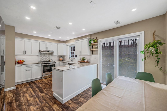 kitchen with white cabinetry, dark hardwood / wood-style floors, stainless steel electric stove, and backsplash