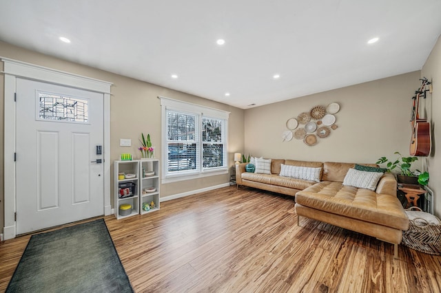 living room featuring wood-type flooring