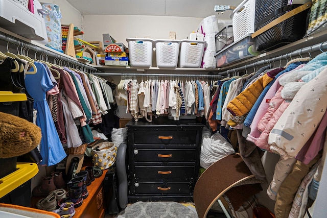 view of spacious closet