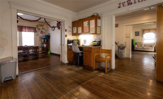 interior space with crown molding, plenty of natural light, and dark hardwood / wood-style flooring