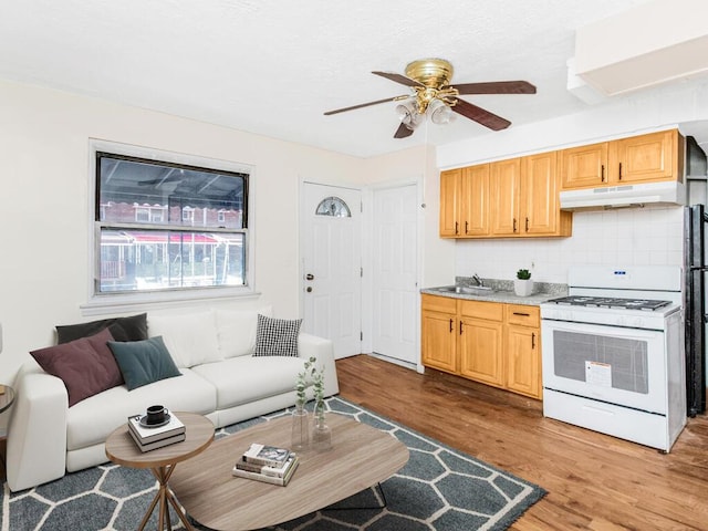 living room with ceiling fan, sink, and light wood-type flooring