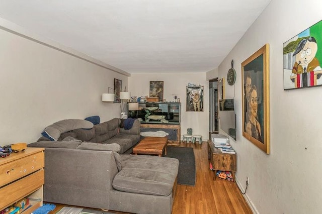 living room featuring light hardwood / wood-style floors