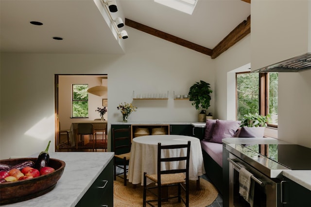 interior space featuring vaulted ceiling with skylight