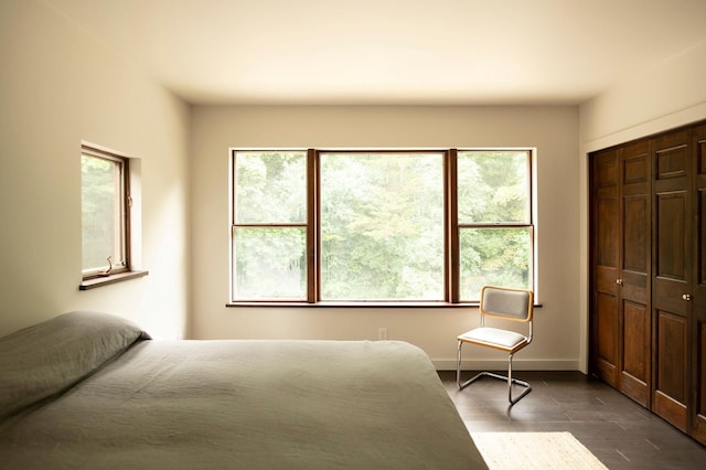 bedroom featuring a closet, dark hardwood / wood-style flooring, and multiple windows