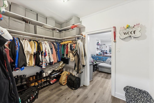 spacious closet featuring hardwood / wood-style floors