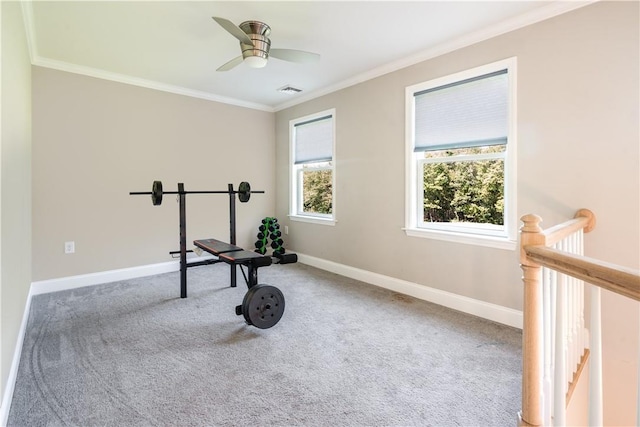 exercise room with ceiling fan, ornamental molding, and carpet floors