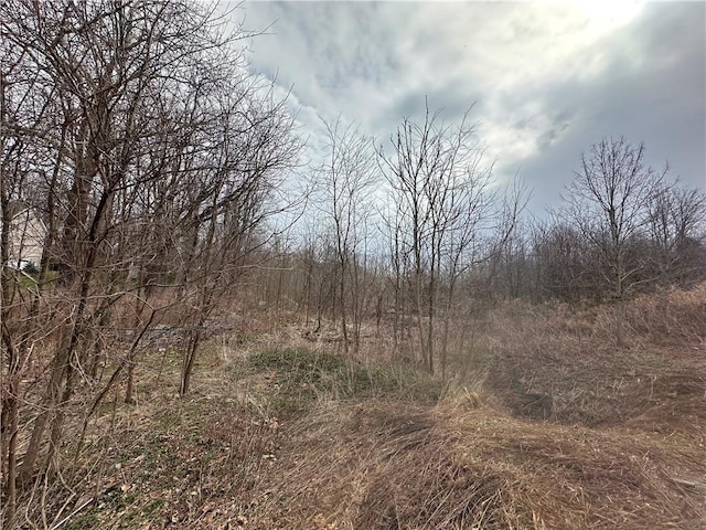 Listing photo 2 for LOT39 Roundhill Rd, Hopewell Junction NY 12533