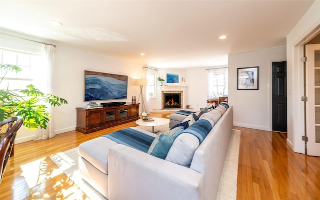 living room featuring light hardwood / wood-style floors