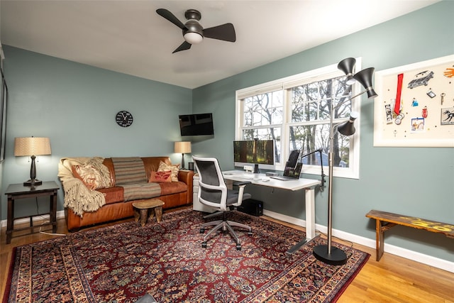 office featuring light hardwood / wood-style flooring and ceiling fan