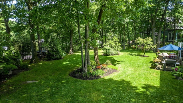 view of yard featuring a gazebo