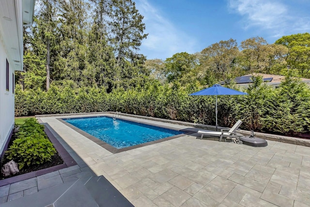 view of pool featuring a patio