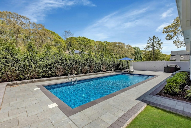 view of swimming pool with a patio area